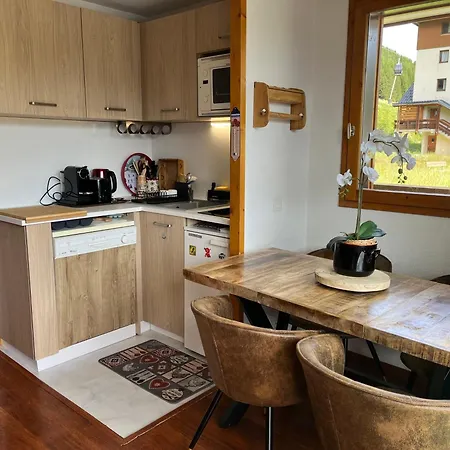 公寓 Appartement Les Deux Alpes *