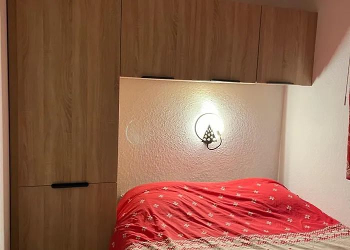 公寓 Appartement Les Deux Alpes *